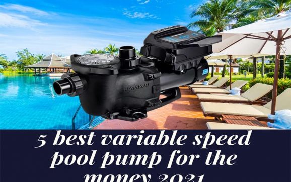 best variable speed pool pump for the money 2021