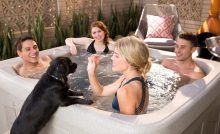 LifeSmart 4 Person Hot Tub review